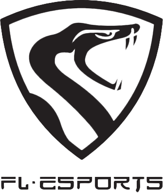 Ремонт клавіатури FL Esports, сервісний центр Зелена Молнія.