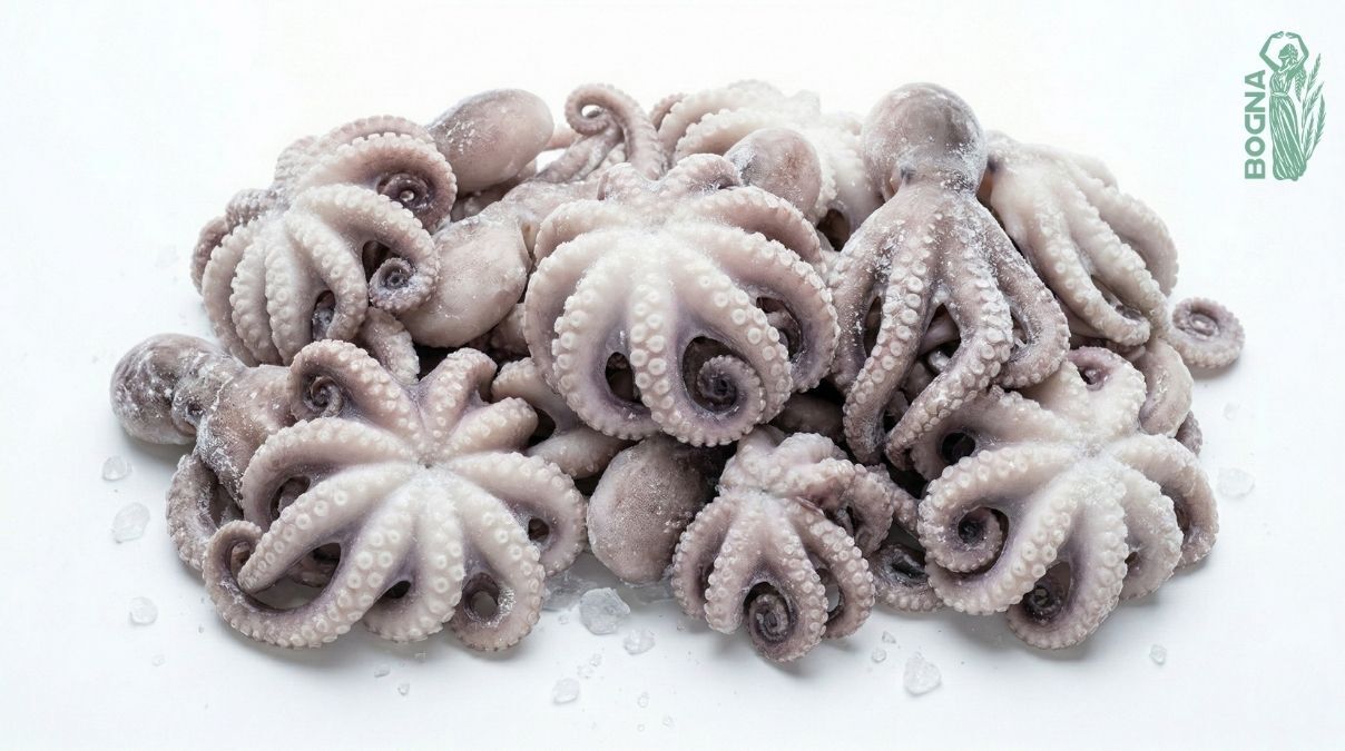 Octopus - IQF Whole Cleaned from Vietnam Bogna Trade