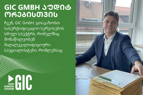 GIC GmbH აუდიტორებისთვის