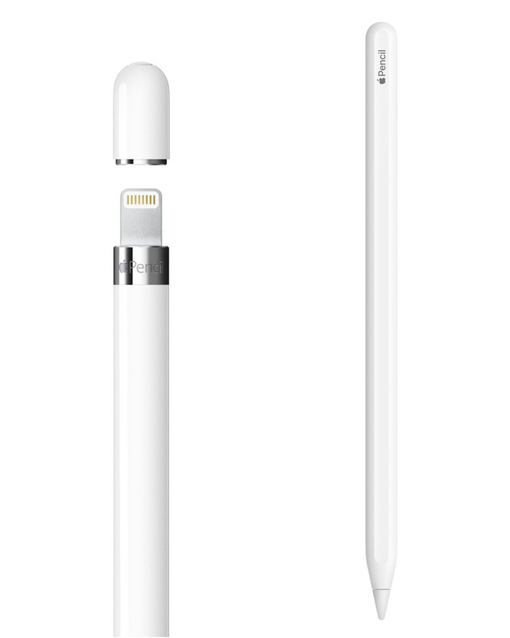 акварельная иллюстрация