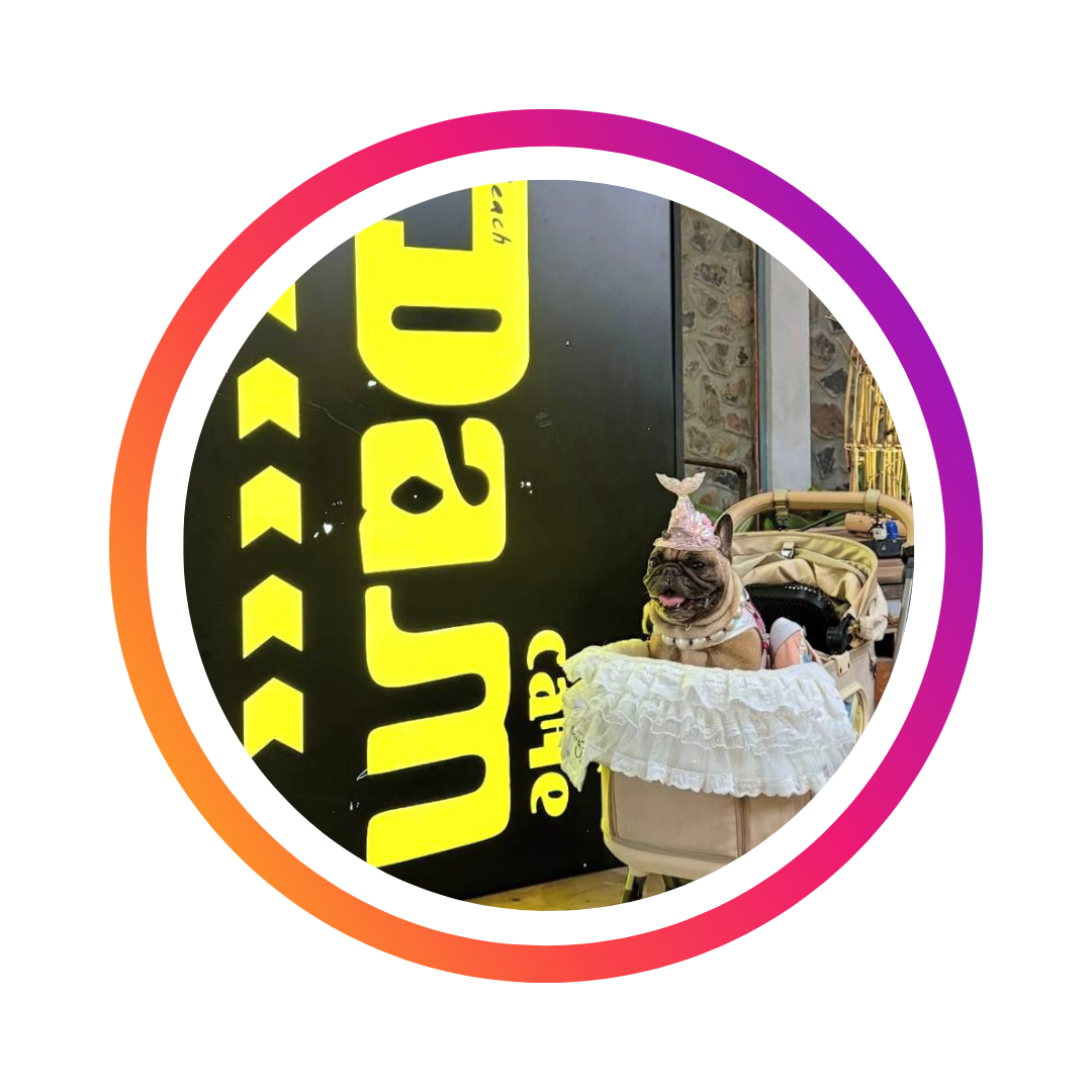 Картинка бара Moonshine на Пхукете в разделе новых мест